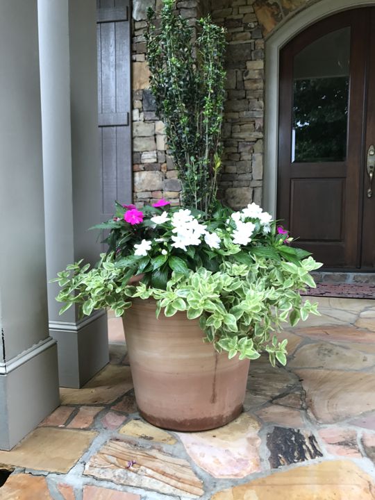 Container & Seasonal Plantings project photo 3
