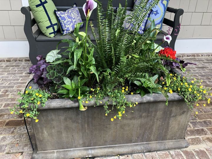 Container & Seasonal Plantings