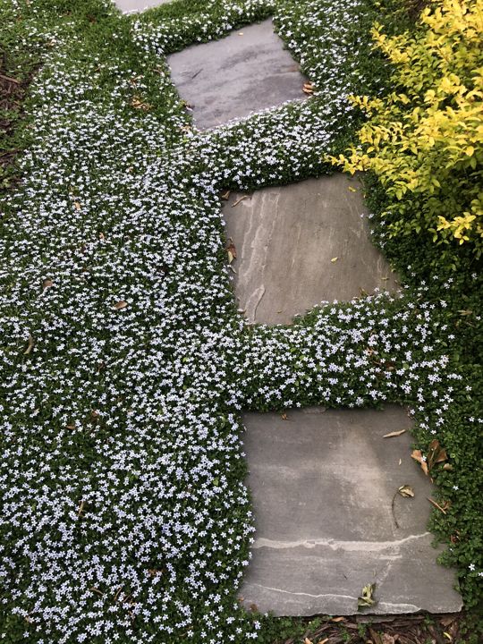 Flagstone & Natural Stone project photo 10