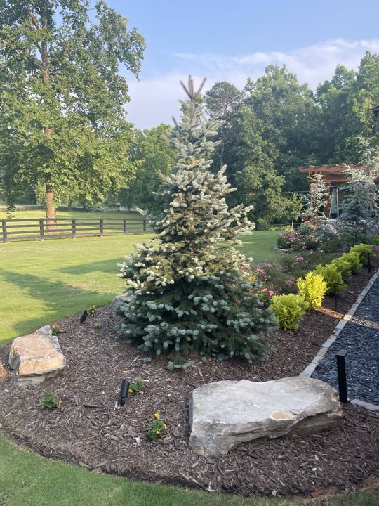 Landscape Design & Plantings project photo 1