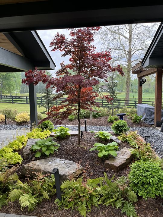 Landscape Design & Plantings project photo 3