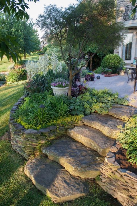 Landscape Design & Plantings