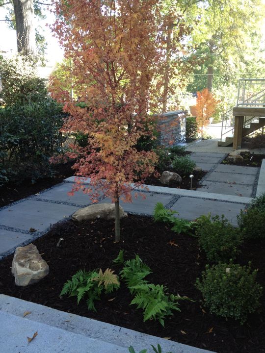 Landscape Design & Plantings project photo 7