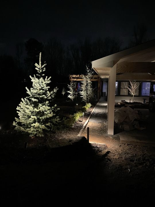 Landscape Lighting project photo 2