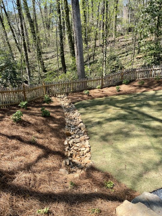 Sod & Lawn Installation project photo 2