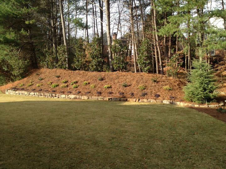 Sod & Lawn Installation project photo 3